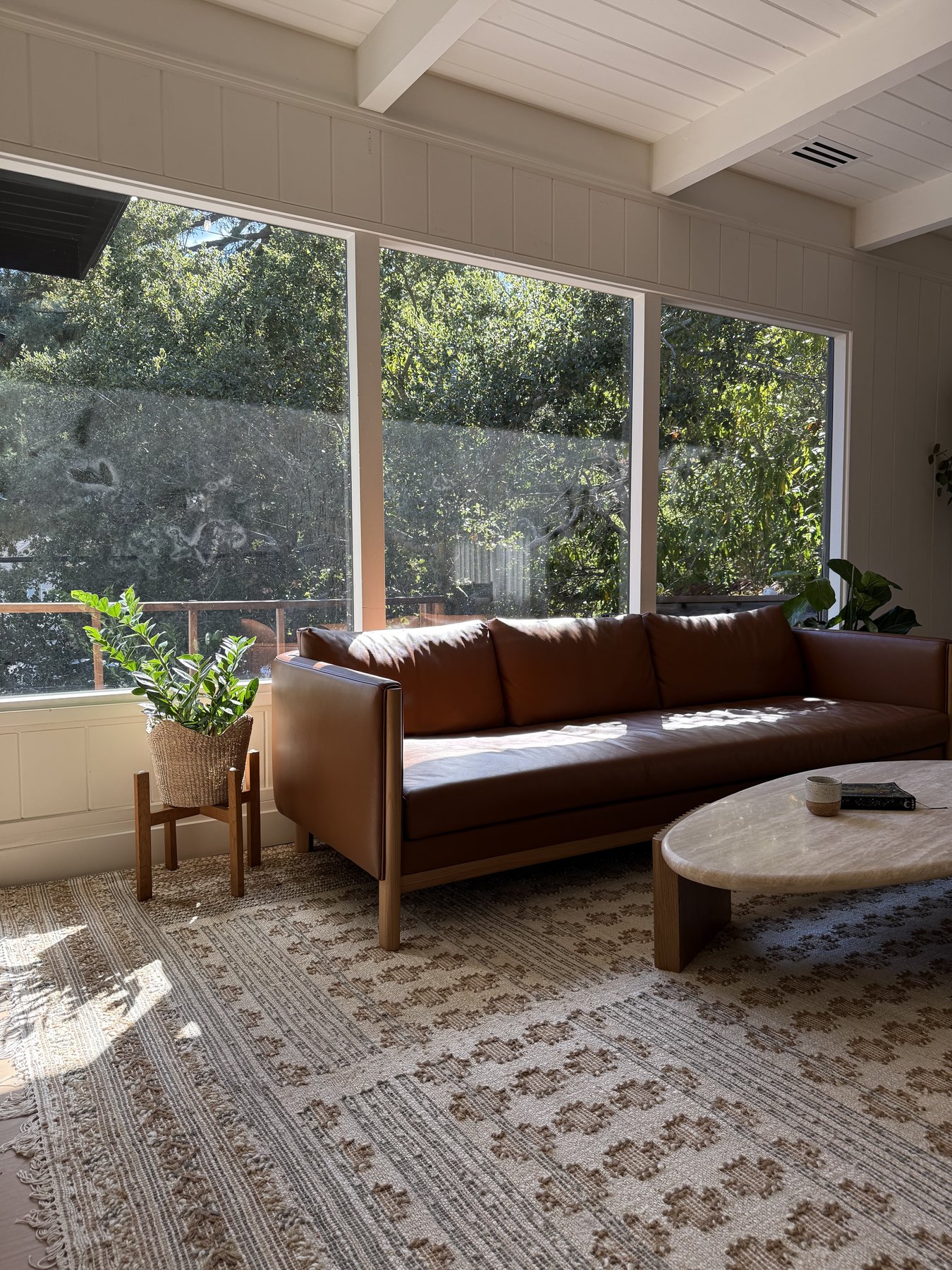 Sunlit living room with a leather sofa, plants, and a garden view